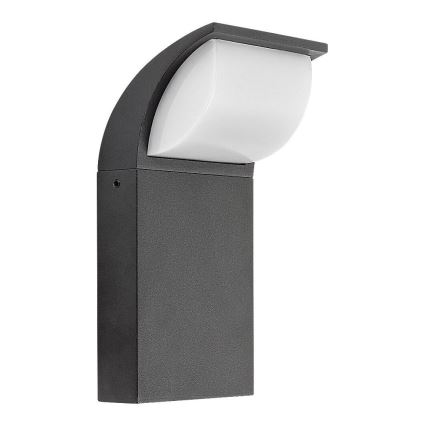 Rabalux - LED Buitenwandlamp LED/9W/230V IP65