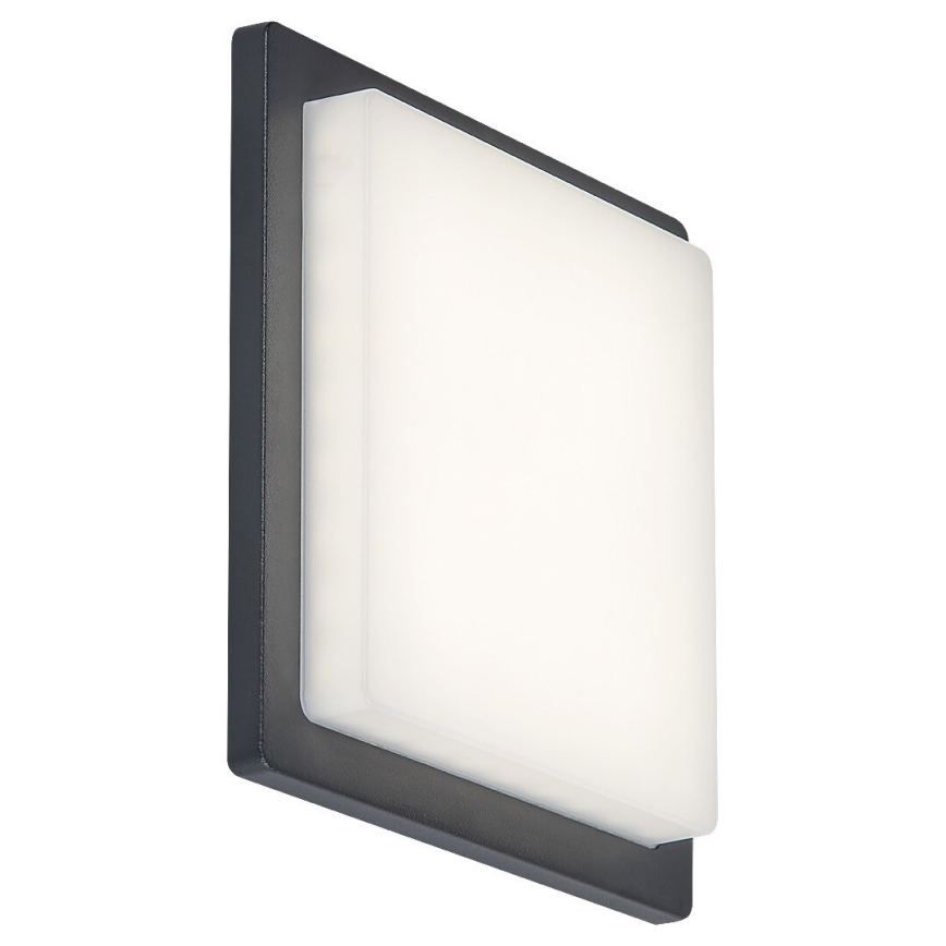 Rabalux - LED Applique murale d'extérieur LED/8W/230V IP65