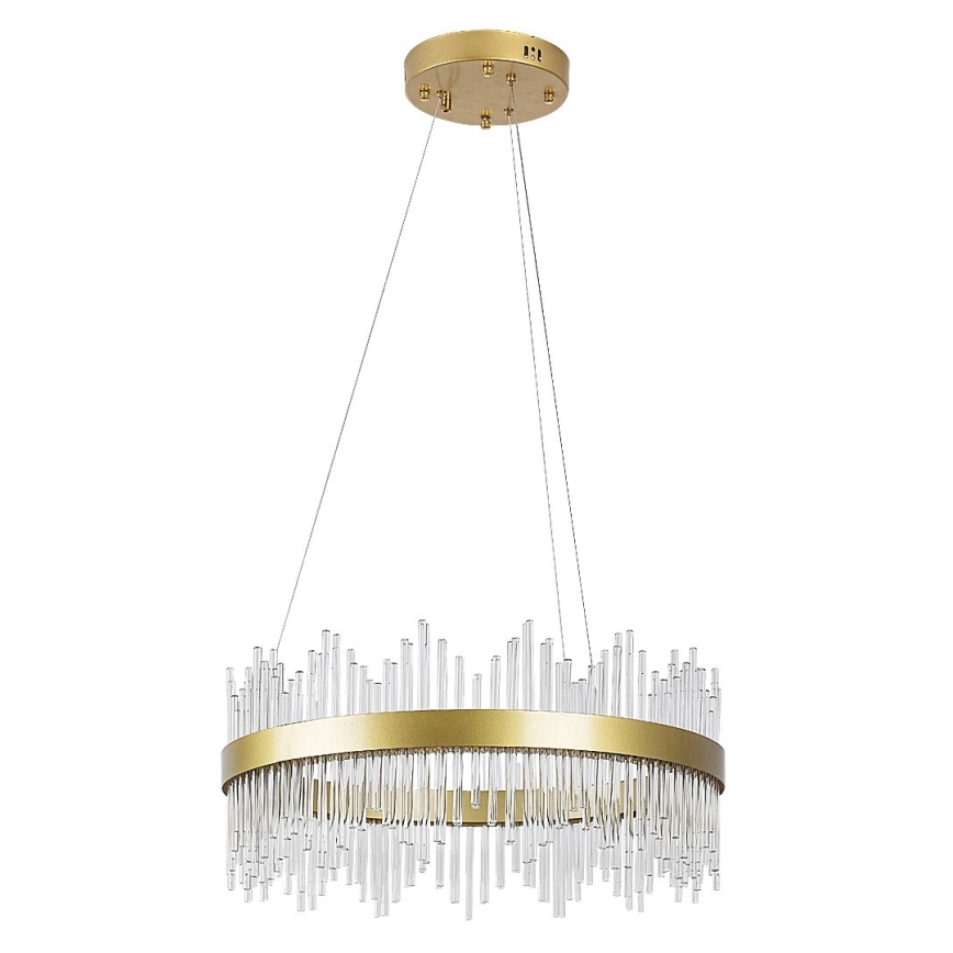 Rabalux - LED Hanglamp aan een koord LED/36W/230V 3000/4000/6000K goud