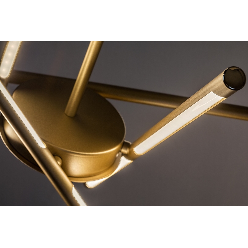 Rabalux - LED Hanglamp aan een koord LED/40W/230V 3000K goud