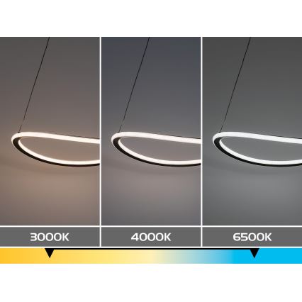 Rabalux - Dimbare LED-hanglamp aan kabel LED/45W/230V 3000-6500K + afstandsbediening