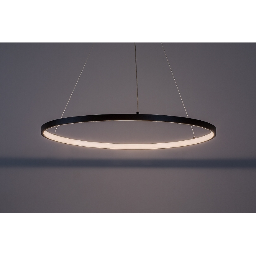 Rabalux - Suspension LED sur câble LED/55W/230V 3000K