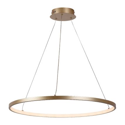 Rabalux - Lustre LED suspendu sur câble LED/55W/230V 3000K