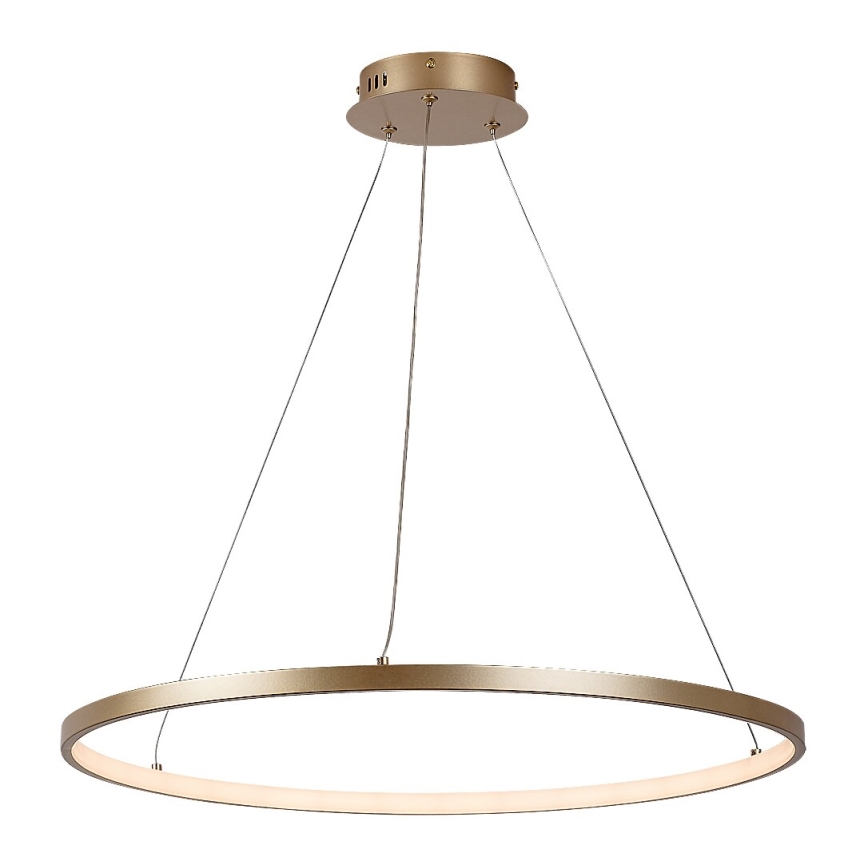 Rabalux - Lustre LED suspendu sur câble LED/55W/230V 3000K