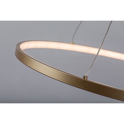 Rabalux - Lustre LED suspendu sur câble LED/55W/230V 3000K