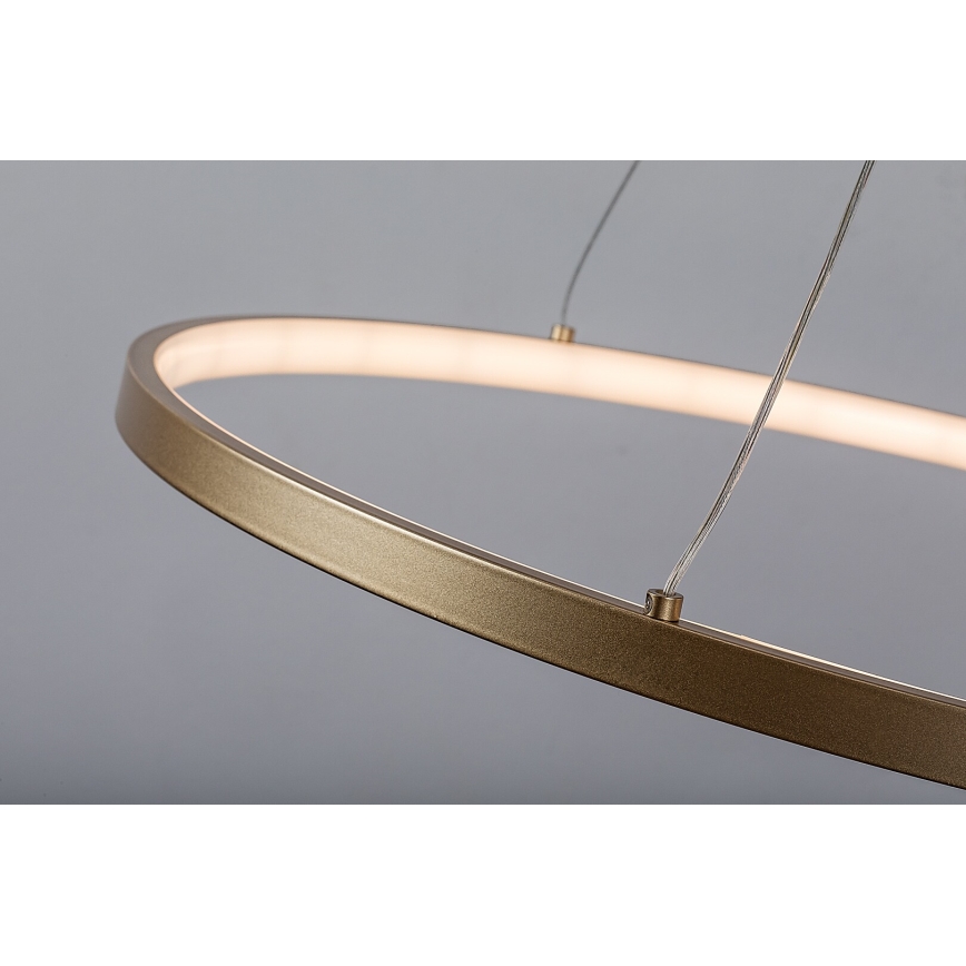 Rabalux - Lustre LED suspendu sur câble LED/55W/230V 3000K