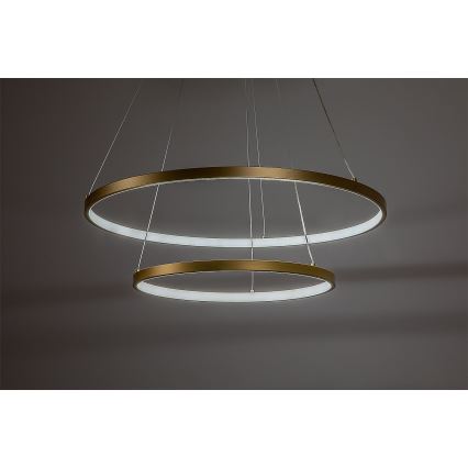 Rabalux - Suspension LED dimmable sur câble LED/75W/230V 3000-6500K + télécommande