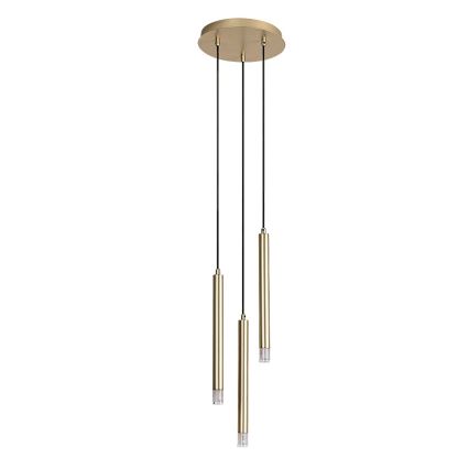 Rabalux - Hanglamp aan een koord 3xG9/5W/230V goud