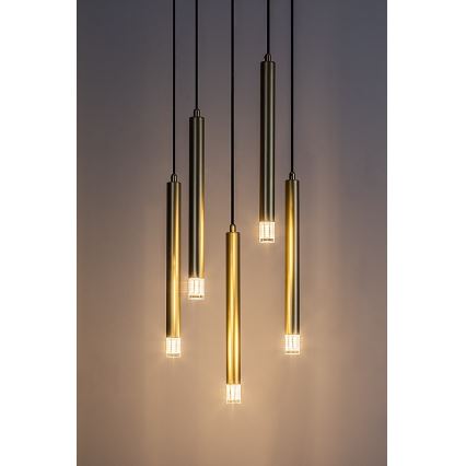 Rabalux - Hanglamp aan een koord 5xG9/5W/230V goud