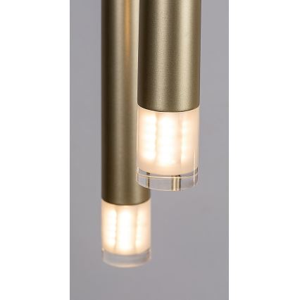 Rabalux - Hanglamp aan een koord 5xG9/5W/230V goud