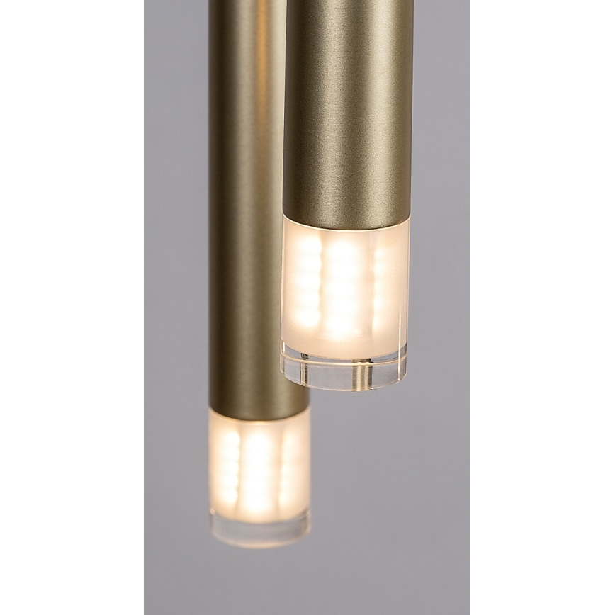 Rabalux - Hanglamp aan een koord 5xG9/5W/230V goud