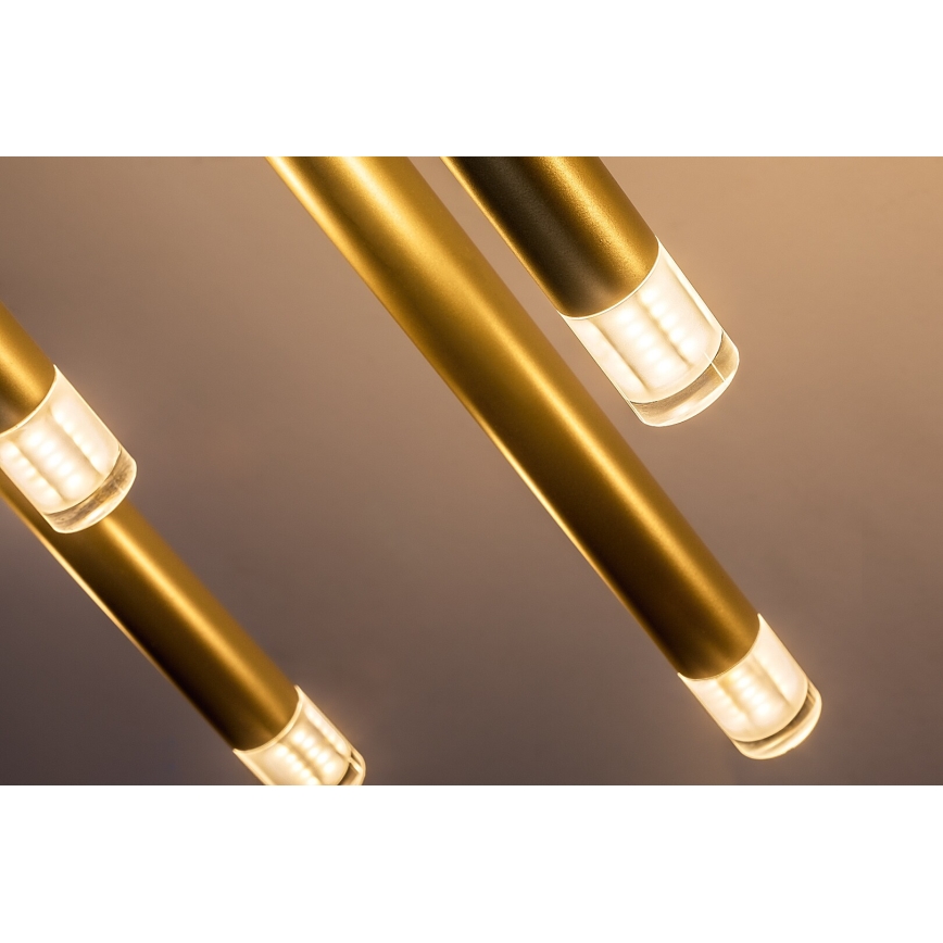 Rabalux - Suspension filaire 10xG9/5W/230V doré