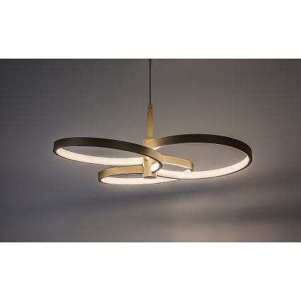 Rabalux - LED dimbare hanglamp aan kabel LED/50W/230V 3000-6500K + afstandsbediening