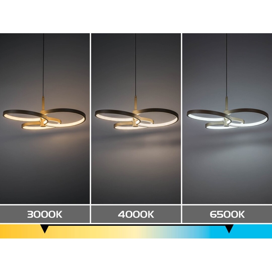 Rabalux - Suspension LED dimmable sur câble LED/50W/230V 3000-6500K + télécommande