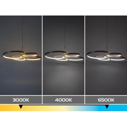 Rabalux - Suspension LED dimmable sur câble LED/70W/230V 3000-6500K + télécommande