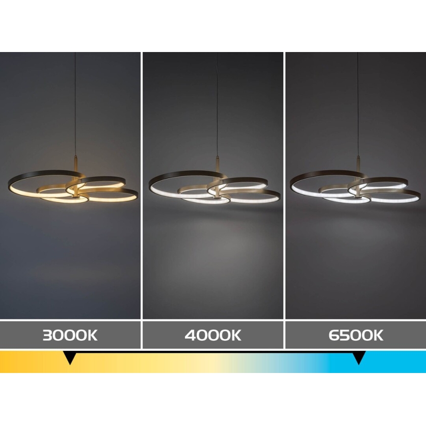 Rabalux - Suspension LED dimmable sur câble LED/70W/230V 3000-6500K + télécommande