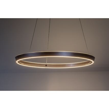 Rabalux - Suspension LED dimmable sur câble LED/70W/230V 3000-6500K + télécommande