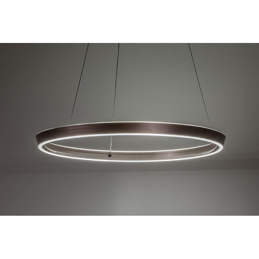 Rabalux - Suspension LED dimmable sur câble LED/70W/230V 3000-6500K + télécommande