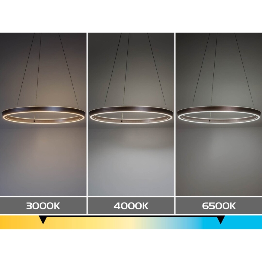 Rabalux - Suspension LED dimmable sur câble LED/70W/230V 3000-6500K + télécommande