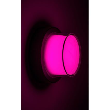 Rabalux - LED RGBW Applique murale extérieure LED/10W/230V IP54 Wi-Fi Tuya