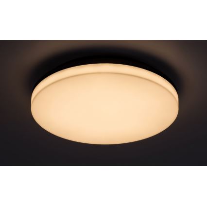 Rabalux - LED Badkamer plafondlamp LED/24W/230V IP54