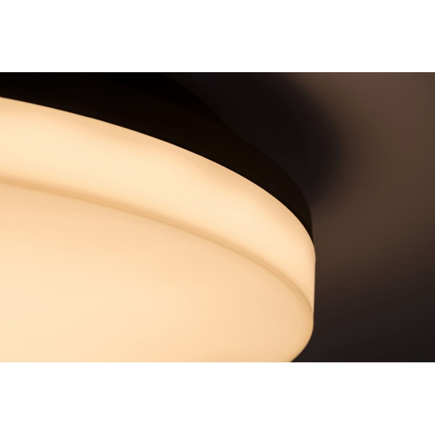 Rabalux - LED Badkamer plafondlamp LED/24W/230V IP54