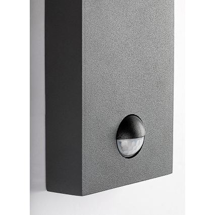 Rabalux - Buitenwandlamp met een sensor 1xe27/40W/230V IP44