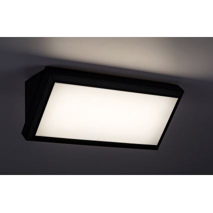 Rabalux - LED Wandlamp voor buiten LED/12W/230V IP54