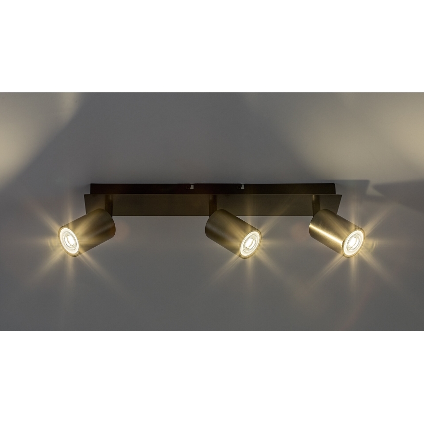 Rabalux - Spot 3xGU10/15W/230V