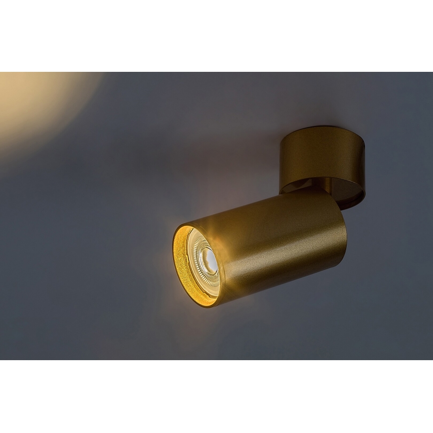 Rabalux - Spot 1xGU10/5W/230V doré