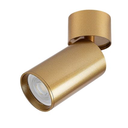 Rabalux - Spot 1xGU10/5W/230V goud