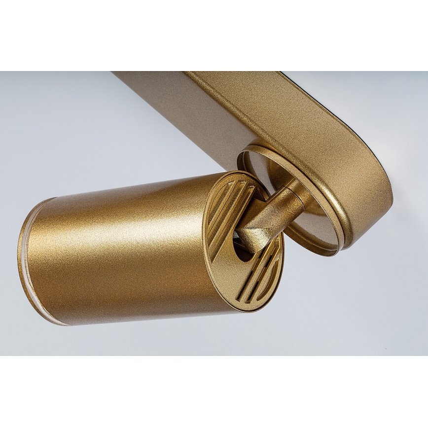 Rabalux - Spot 4xGU10/5W/230V doré