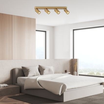 Rabalux - Spot 4xGU10/5W/230V goud