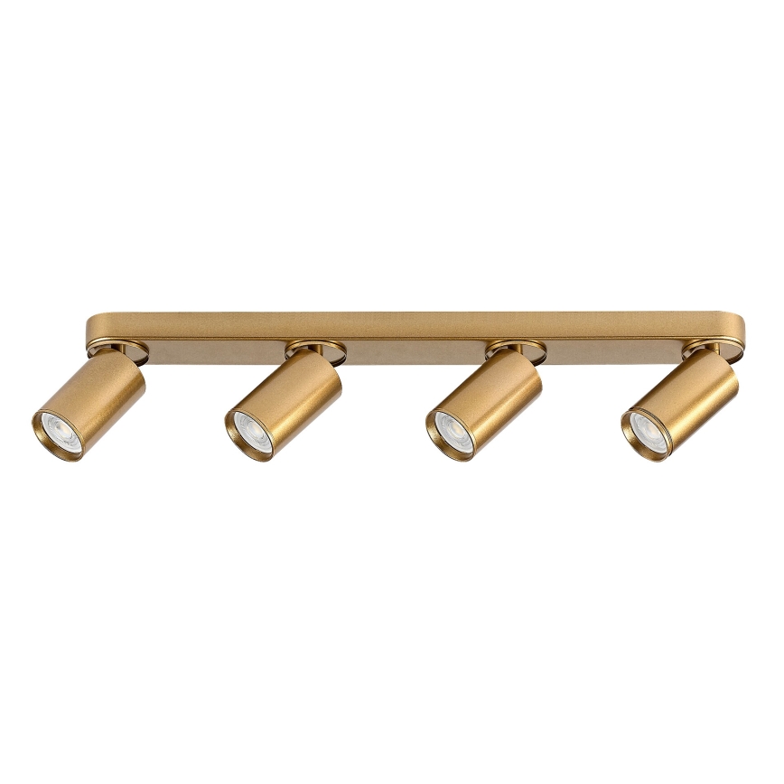 Rabalux - Spot 4xGU10/5W/230V goud