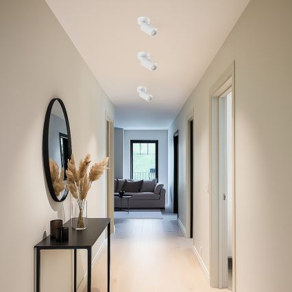 Rabalux - Spotlamp 1xGU10/7W/230V wit