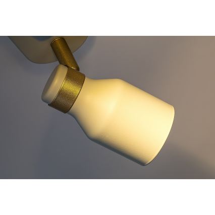 Rabalux - Spotlamp 2xGU10/15W/230V