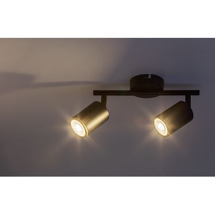 Rabalux - Spot 2xGU10/15W/230V noir