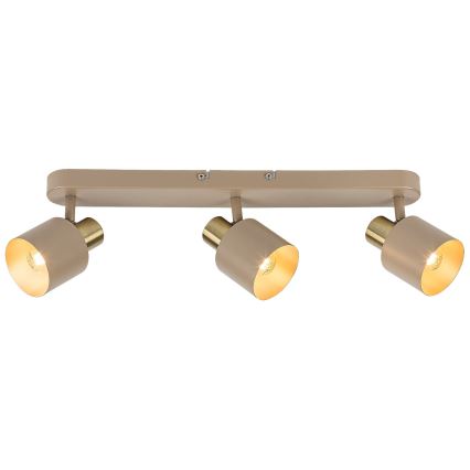 Rabalux - Spot orientable 3xE14/10W/230V beige