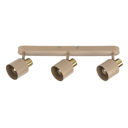 Rabalux - Spot orientable 3xE14/10W/230V beige