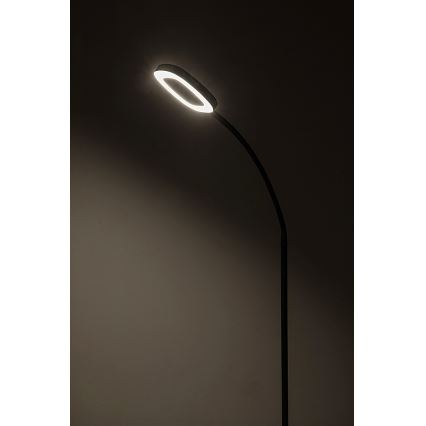 Rabalux - LED Dimbaar aanraken Staande lamp LED/11W/230V 3000K