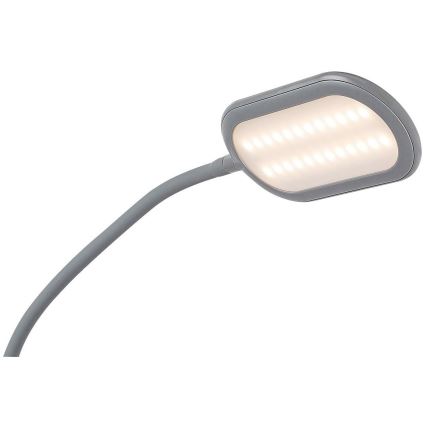 Rabalux - Lampadaire LED tactile à intensité variable LED/10W/230V 3000K-6000K gris