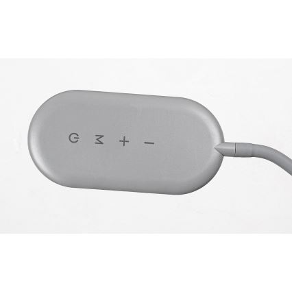 Rabalux - LED Dimbare Touch Vloerlamp LED/10W/230V 3000-6000K grijs