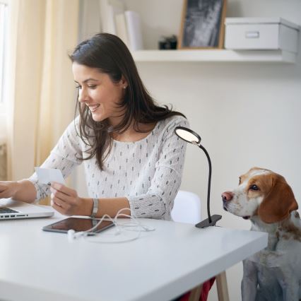 Rabalux - Lampe de table à intensité variable avec pince LED/7W/230V 3000K