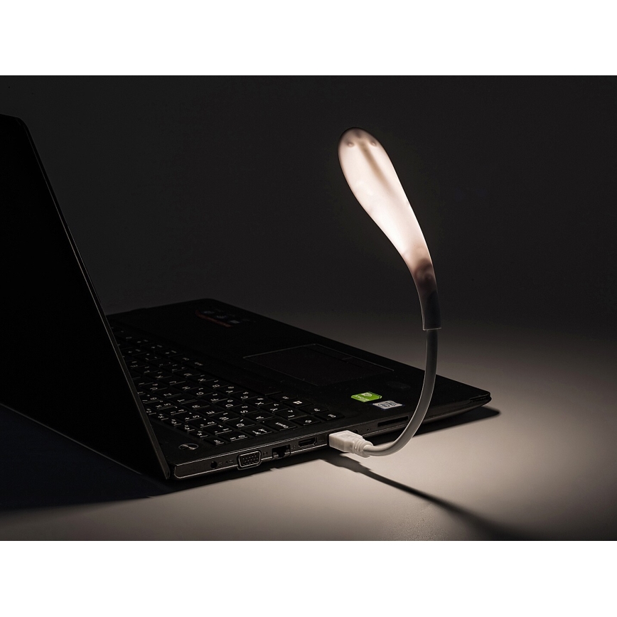 Rabalux - LED Flexibel USB klein lamp LED/2W/5V