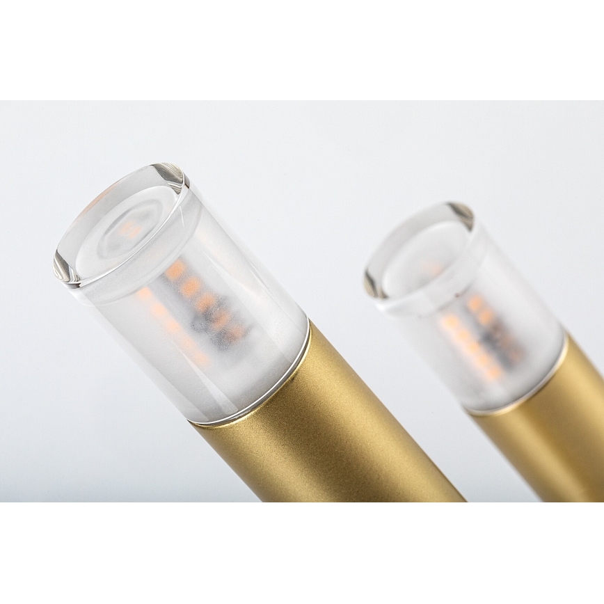 Rabalux - Tafellamp 3xG9/5W/230V goud