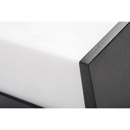 Rabalux - Applique murale LED d'extérieur LED/12W/230V noir IP54