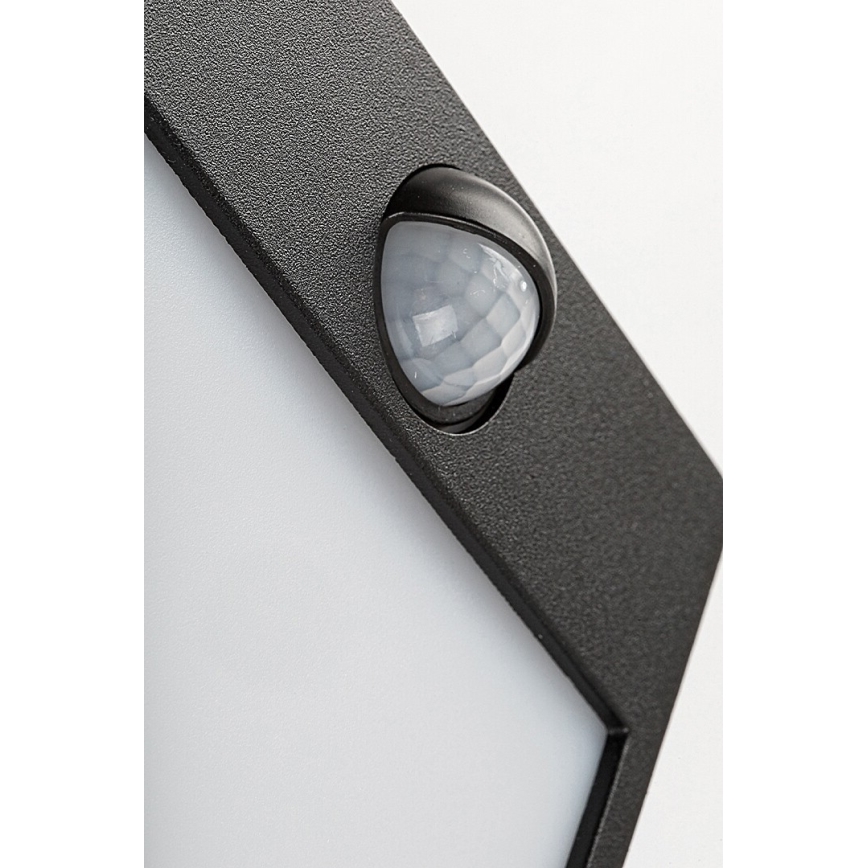 Rabalux-Applique murale d'extérieur avec un détecteur LED/12W/230V noire IP44