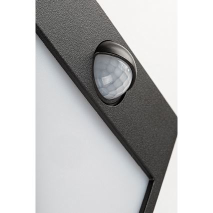 Rabalux - LED Buitenwandlamp met sensor LED/12W/230V zwart IP44