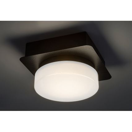 Rabalux - LED Plafondverlichting badkamer LED/5W/230V IP44 4000K zwart