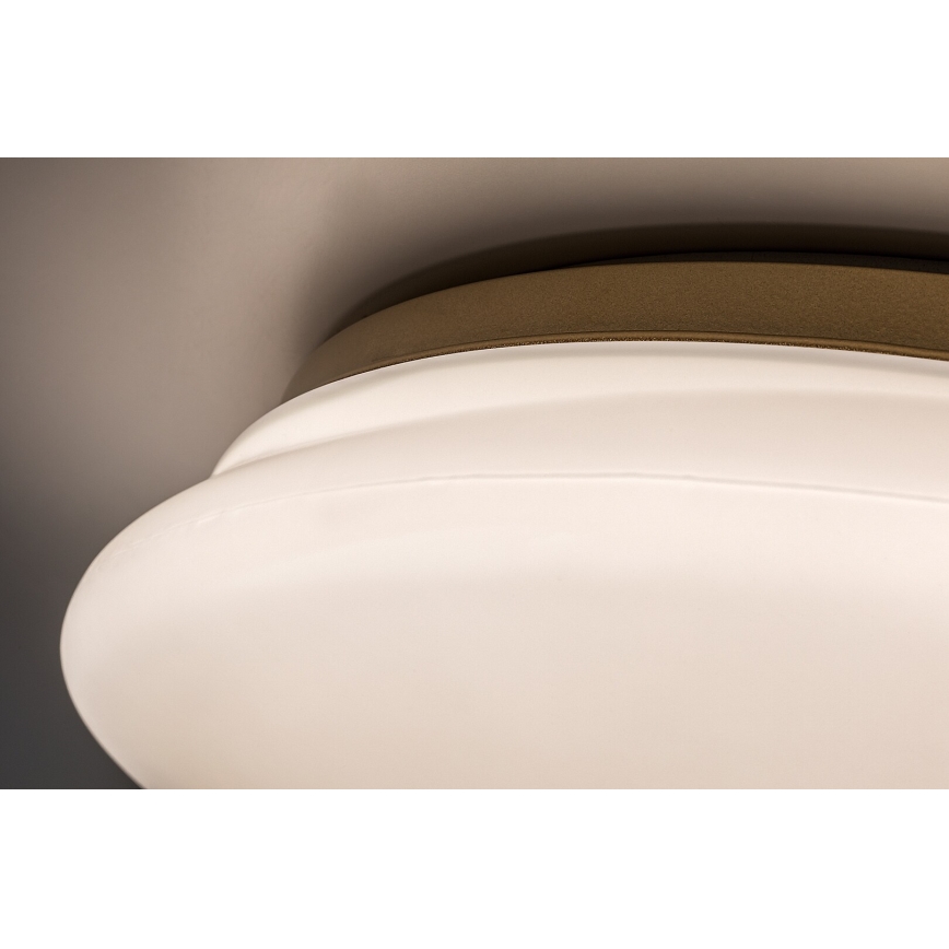 Rabalux - Plafonnier LED pour salle de bains, 24 W, 230 V, IP44, Ø 41 cm